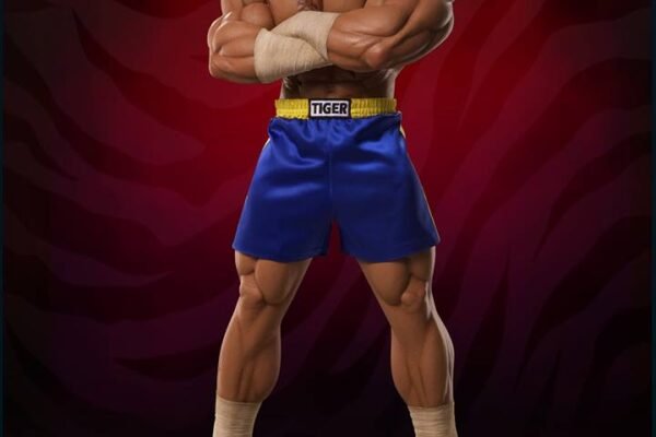 22491581_1617072405029450_749682865426952640_n